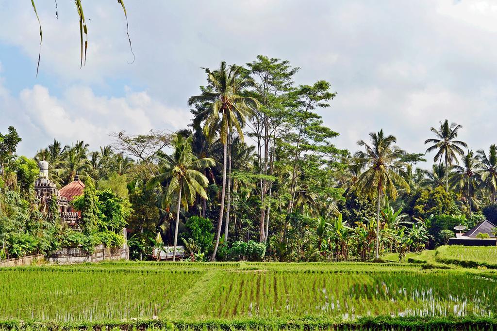 Ubud Kartini Hostel Exterior foto